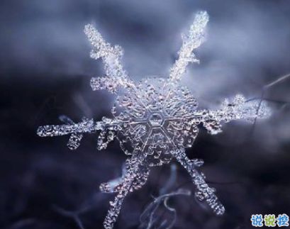 下雪的歌曲最近很火,抖音下雪的最美歌曲