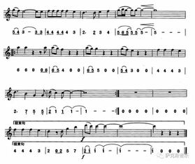 两口子最深情的歌曲，夫妻恩爱的歌经典老歌