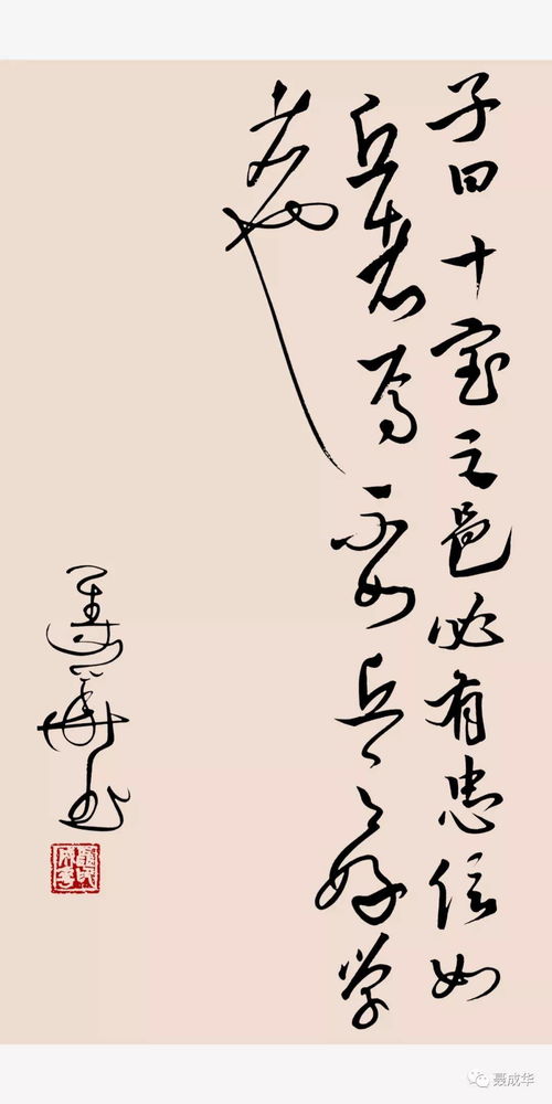 不为谁而作的歌寓意，不为谁而作的歌算情歌吗