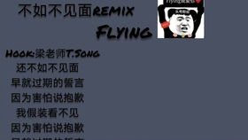 不是你的错下一句怎么接，不是你的错 歌词