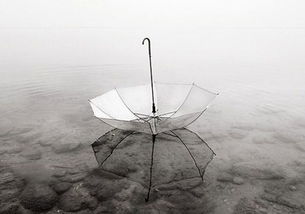 下雨了这首歌的真正含义，下雨了的含义