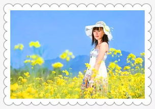 两人未在一起遗憾的歌曲，送给爱而不得的人的歌