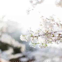 为你守候表达了什么情感，守候的真正含义