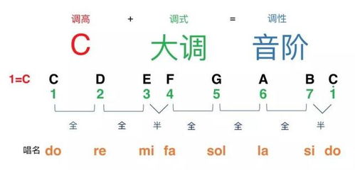 为什么听伴奏听不出调，初学者必练的50个音准