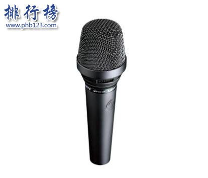 中国麦克风十大名牌，十大品牌麦克风