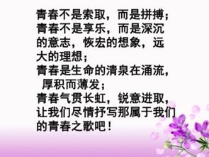 为了理想奋斗过是什么歌,歌曲《光芒》原唱