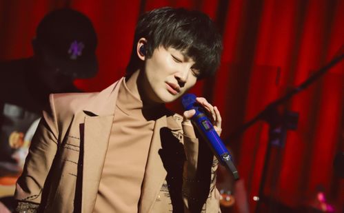 中国歌手国家队名单，周深进入国家队了吗？