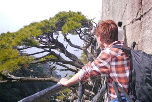 乌蒙山里山外山是什么歌，dy歌词中有在哪呢山外山来