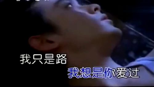 为什么不理我是什么歌,歌曲《为什么》原唱