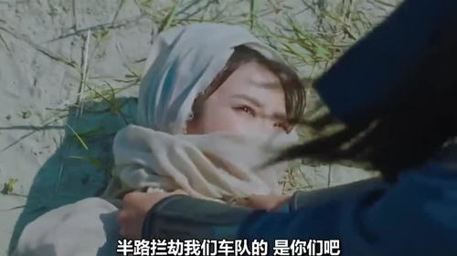 人生若只如初见原唱版,人生若只如初见是爱情吗