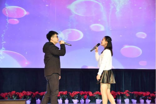 二人对唱情歌大全,最火情歌对唱