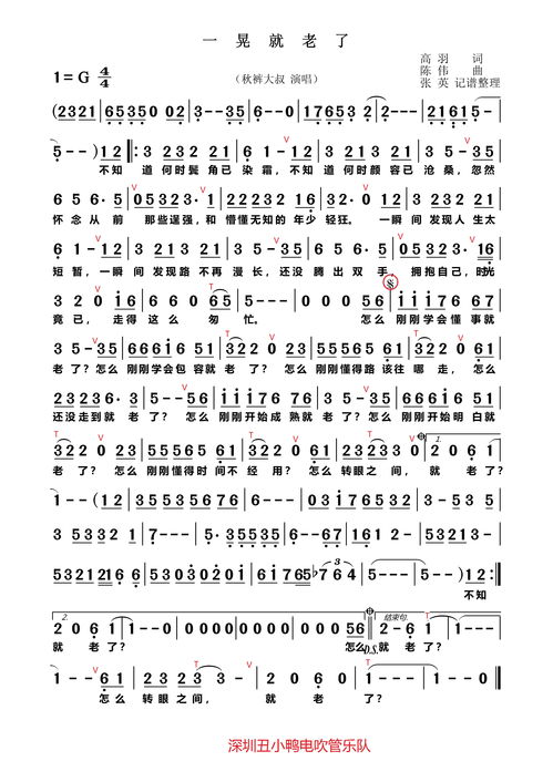 人不伤不成长原唱歌词，歌曲《一晃就老了》歌词