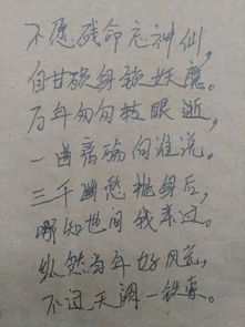 九儿这首歌表达什么意思，九儿的故事表达什么情感