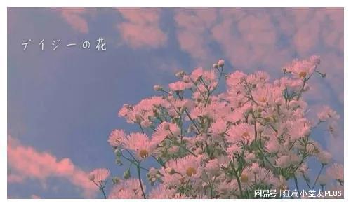 人间一场烟火是哪首歌的歌词,《来人间这一回》歌词