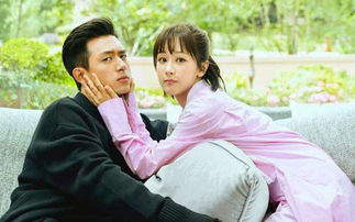 亲爱的热爱的有多火，现偶四大爆剧