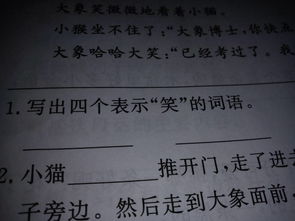 云的反义词是雨吗，云的相对词