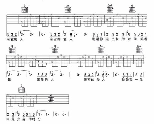 亲密爱人歌词表达什么意思，亲密爱人这首歌的感受