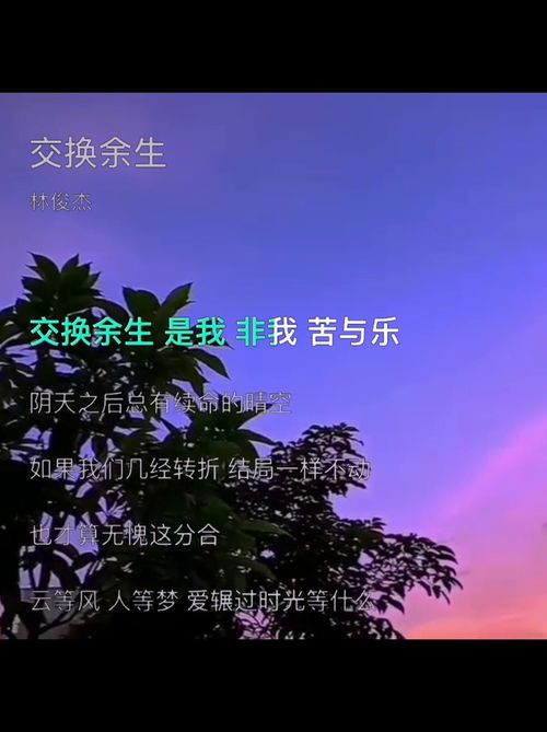 交换余生歌词是暗恋吗，交换余生歌曲的含义