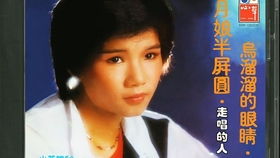 二十首经典闽南情歌，台语歌曲500首