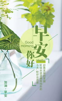 人生遇到知己的感言，给予知己最暖心的祝福