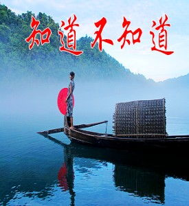 云儿飘呀飘船儿摇啊摇，抖音随风在飘摇啊摇是什么歌