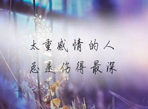 也许忙着微笑与哭泣是什么歌，抖音很火的一首歌名里有星星