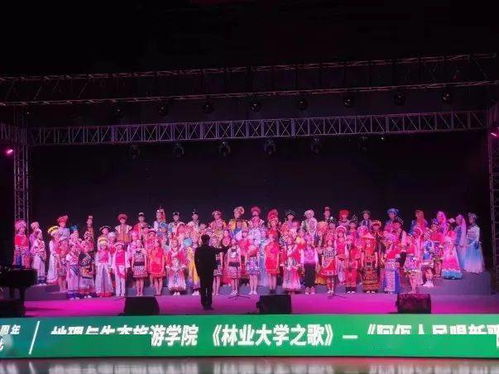 五六个人合唱的歌，5个人唱的网红歌