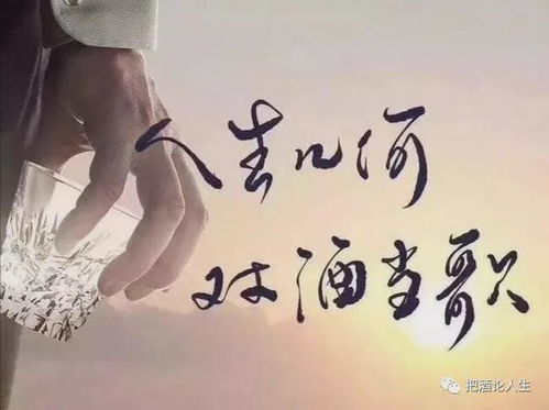 人生这一杯酒啊是什么歌，《我来人间一趟》原唱