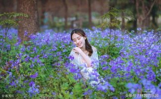 人生最美好的相遇歌词翻译,形容美好相遇的诗句