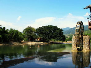 云水谣美好寓意,云水谣表达了什么感情