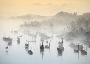 云里雾里心情句子，一句话描写雾气仙境