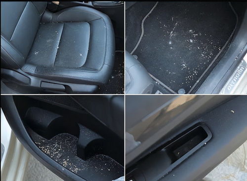 九歌的车在多少分钟,《九歌》共有几篇