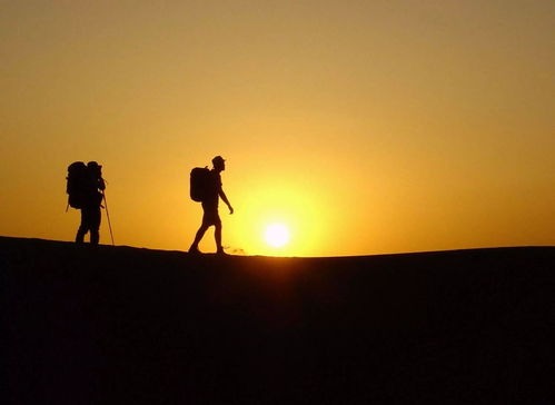 人的一生只能走一回原唱，赞美诗歌何为人生歌曲视频