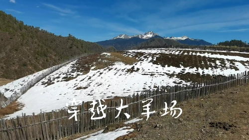 人在旅途心随景动什么意思，人在旅途的感悟短语