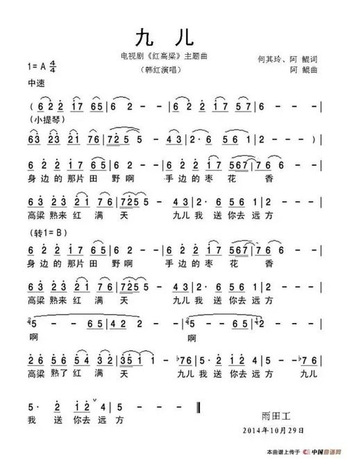 九儿这首歌听后感，九儿的寓意什么