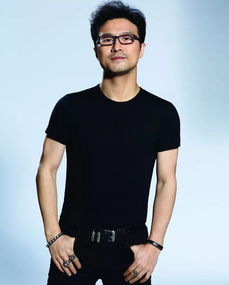 也许有十年我不曾流泪是什么歌,汪峰的歌十年不曾流泪