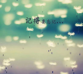 云河表达了什么感情，云河的爱情含义