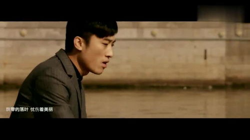 亲爱的你在哪里龙飞门丽对唱,亲爱的在哪里门丽龙飞歌曲