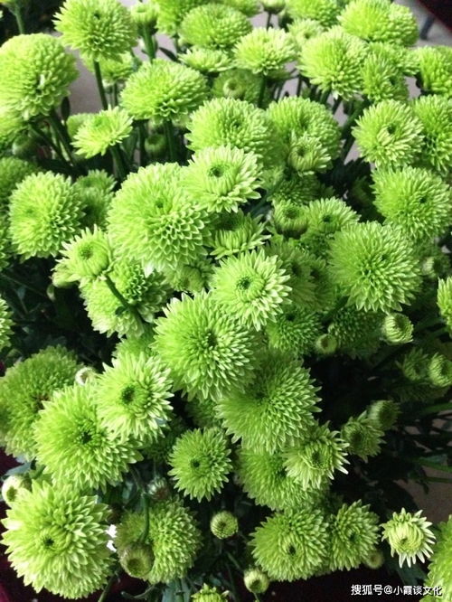 人生风景在游走的感悟，人生风景感悟的句子