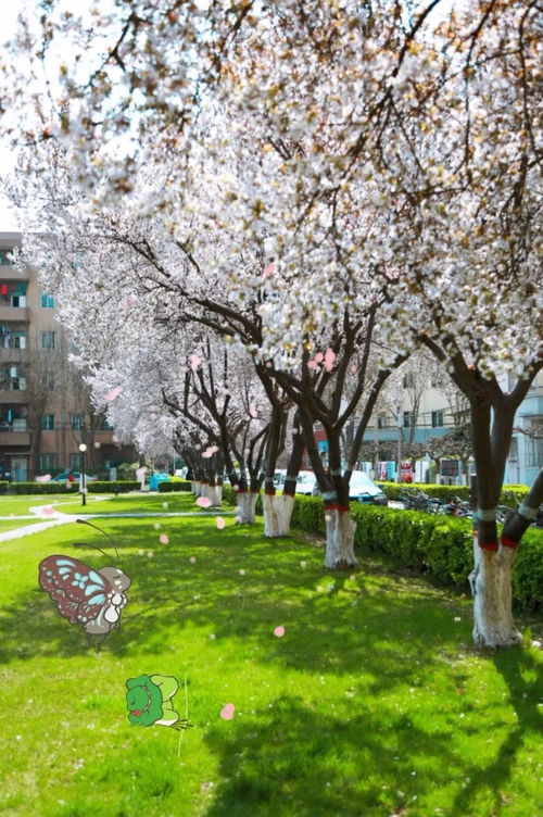 亲爱的你慢慢飞的歌词,亲爱的你慢慢飞下一句