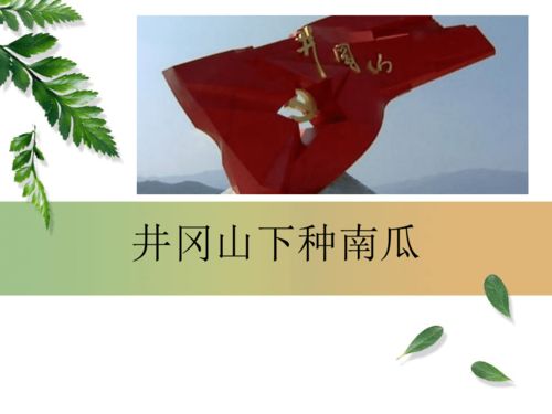 井冈山下种南瓜歌词全部,儿童歌曲井冈山下种南瓜