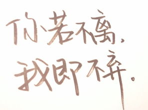 代表两个人恩爱的歌曲，表达一辈子不离不弃的歌