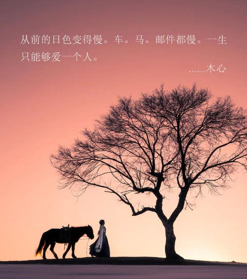 从前车遥马慢一生只够爱一人下句，类似从前车马很慢唯美的句子