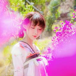 什么叫风花雪月的爱情呢，风花雪月下一句是什么