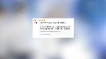 什么的月光 什么在我心上，淡淡月光洒在我心上