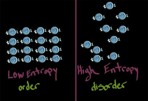 低熵体和高熵体的区别，性行为是熵增还是熵减