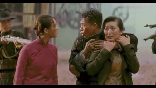 他大舅他二舅都是他舅歌词,崔健大舅二舅都是木头歌词