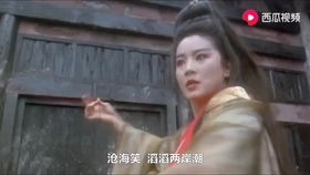 任贤齐《兄弟》，《沧海一声笑》国语