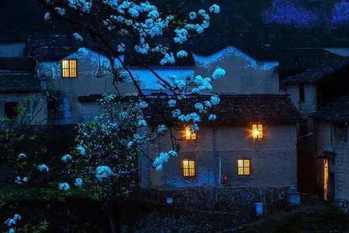 今夜万家灯火时,天下相亲与相爱，今夜万家灯火时是哪首歌曲