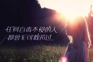 什么什么盛开的花抖音很火的歌，抖音最近很火一个什么歌花